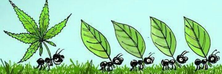 Benjamin99cjs's profile banner image