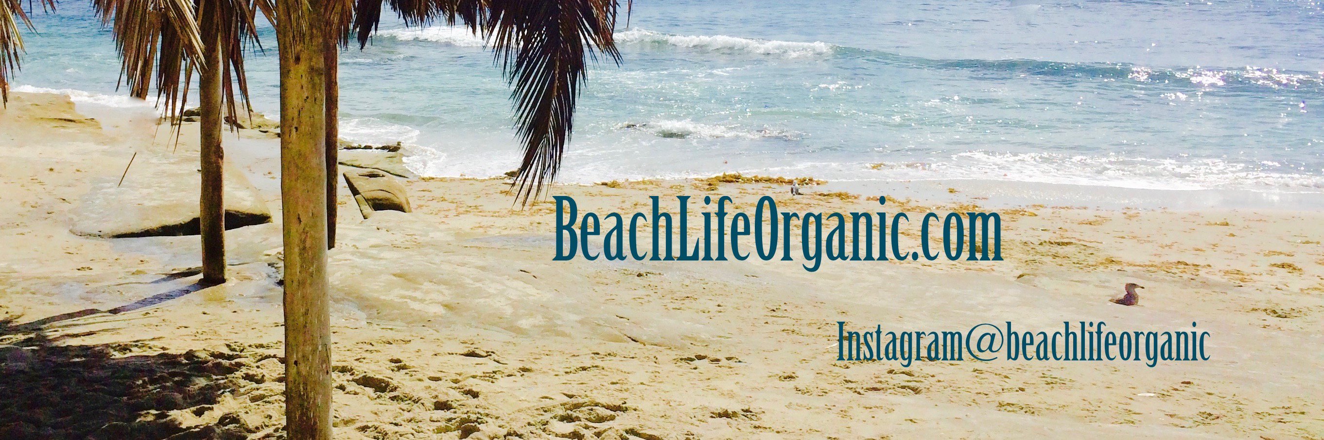 OrganicGirlLife's profile banner image