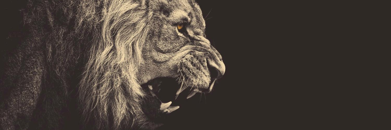 ETdanceforever's profile banner image
