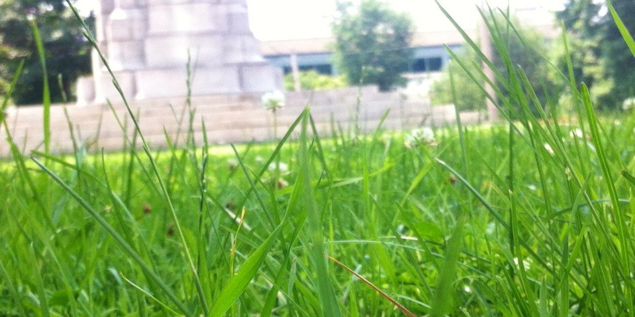 a_risopatron's profile banner image