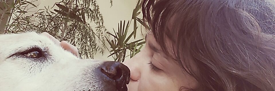ArbonesVero's profile banner image