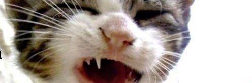 Thomennn_'s profile banner image
