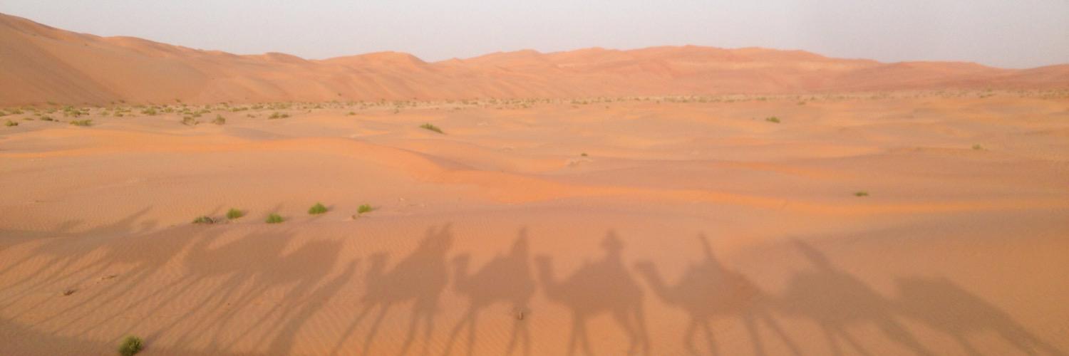 Spencer Belyea banner