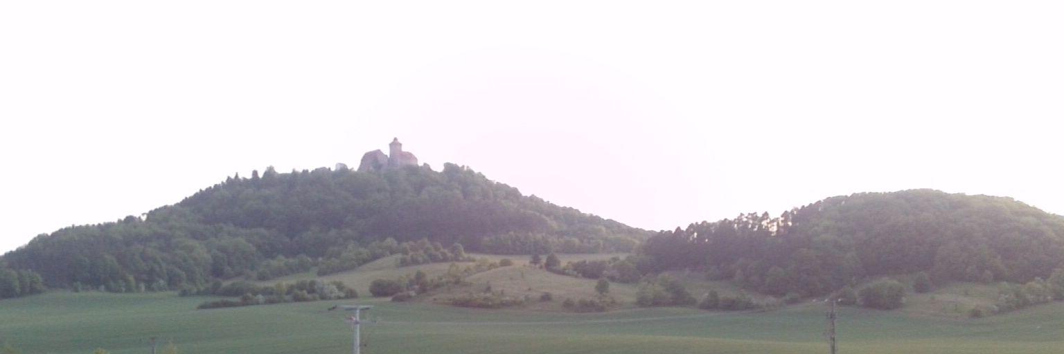 Jani banner