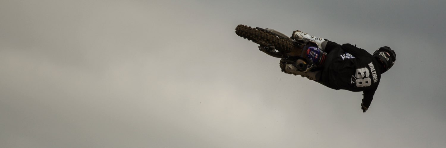 b_dog68 banner