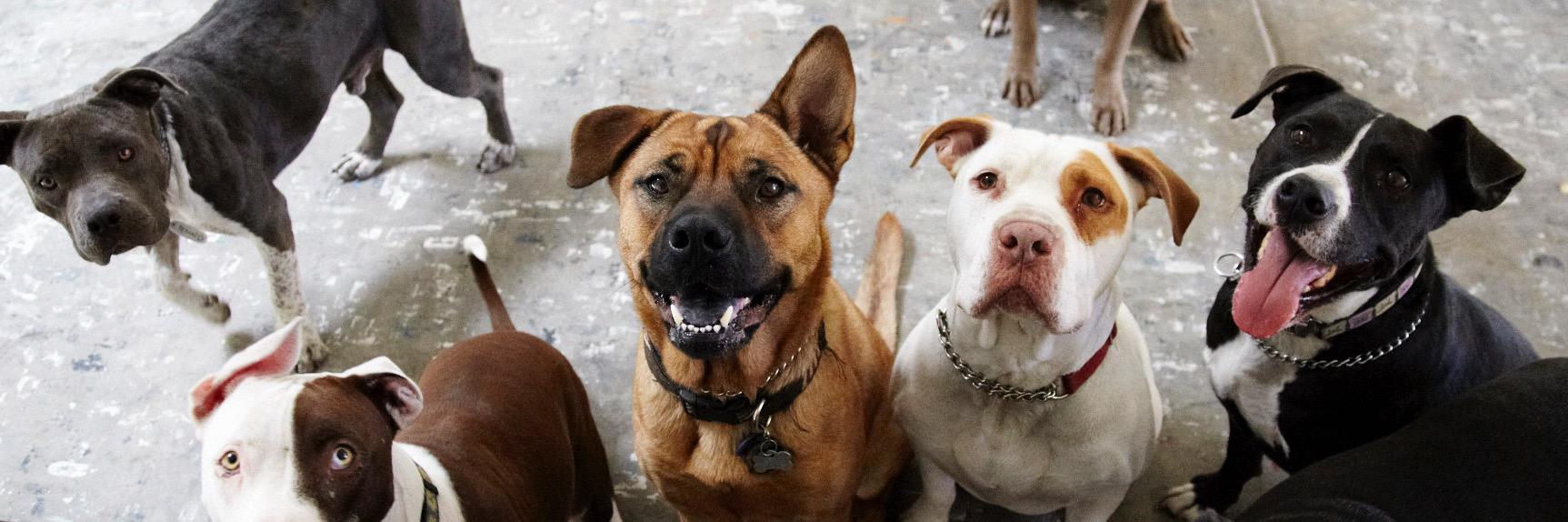 MissionUnderdog's profile banner image