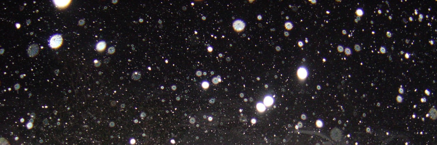 wieselones's profile banner image