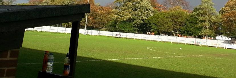 Sent Her Forward banner