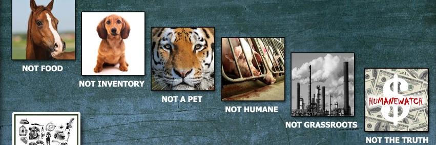 HumaneWatchInfo's profile banner image