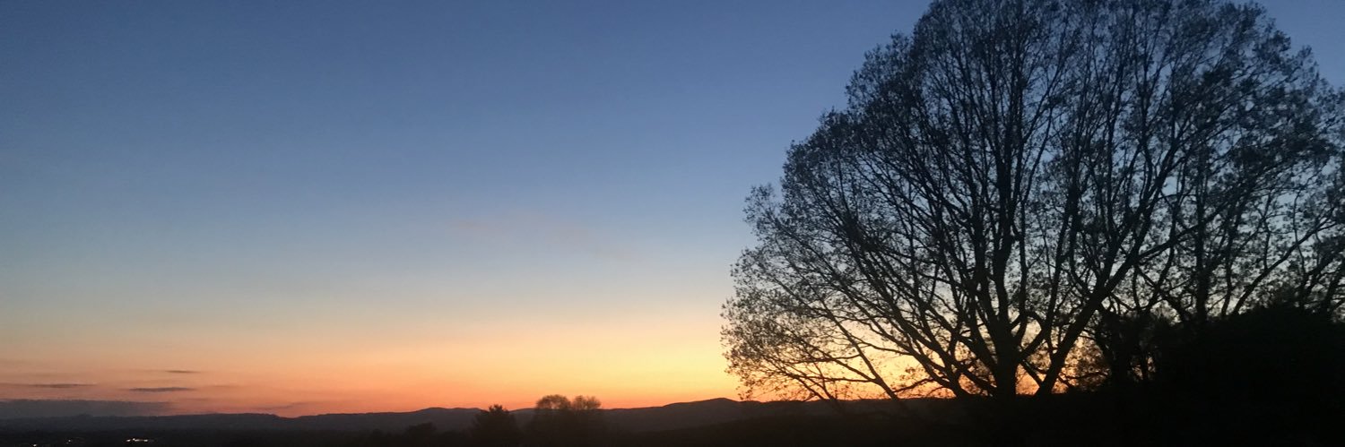 field_synthesis's profile banner image