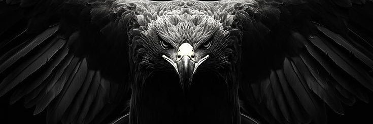 Crow_0_'s profile banner image