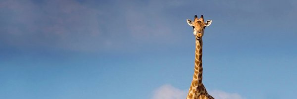 MinfordAccounts Profile Banner