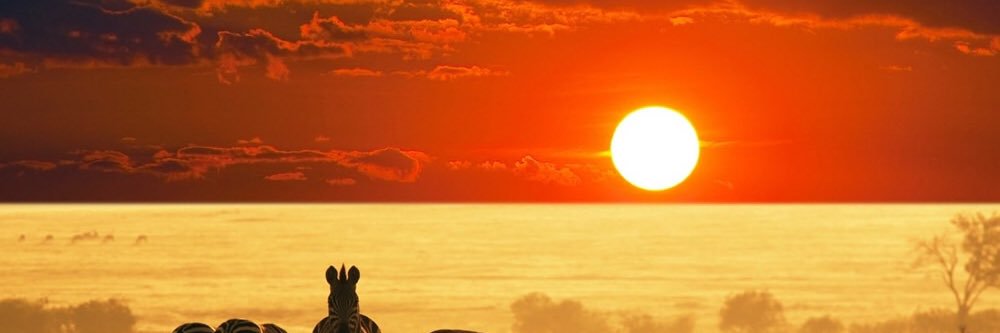 Gals’ Choice🇺🇬 banner