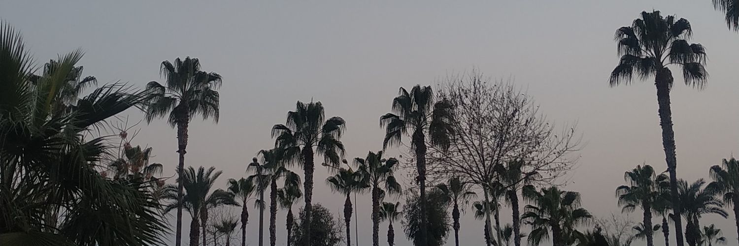 ggzem4's profile banner image