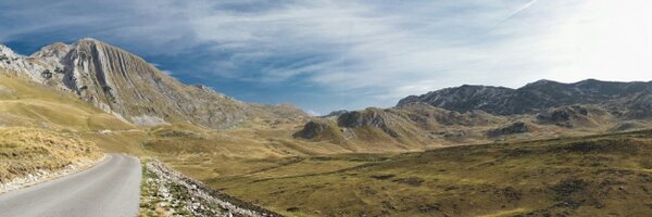 Cavlovic Profile Banner