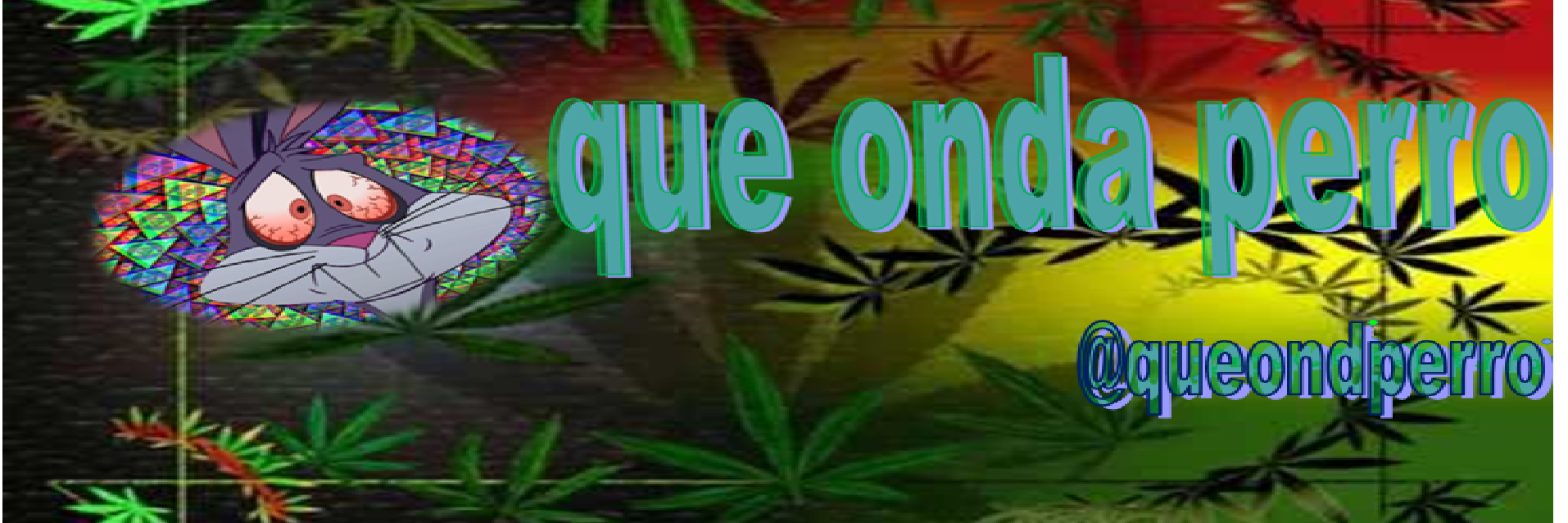 queondperro's profile banner image