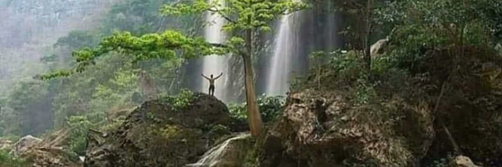 Armando Maldonado Z. banner