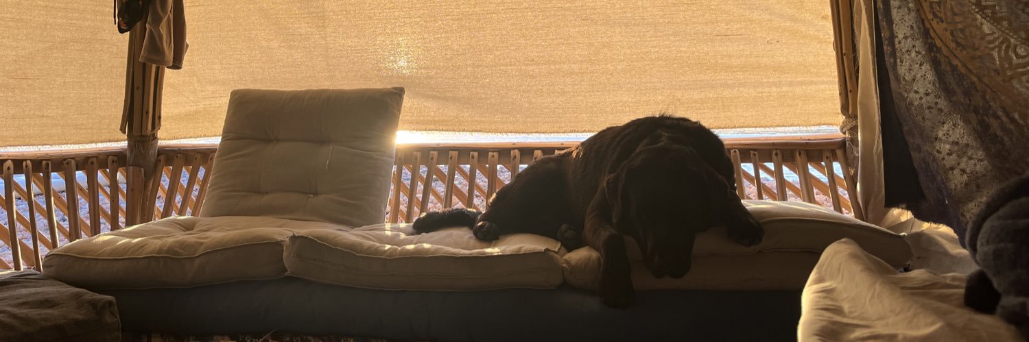 meeeeemmoo's profile banner image