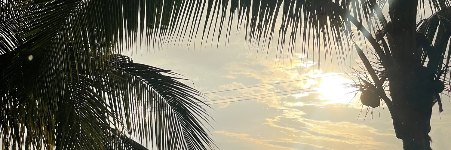 MarceladeNiz's profile banner image