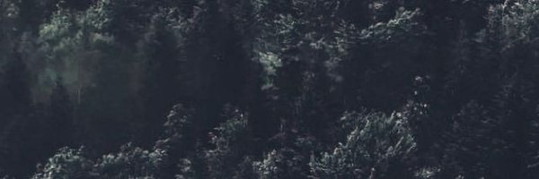 nes_ea Profile Banner