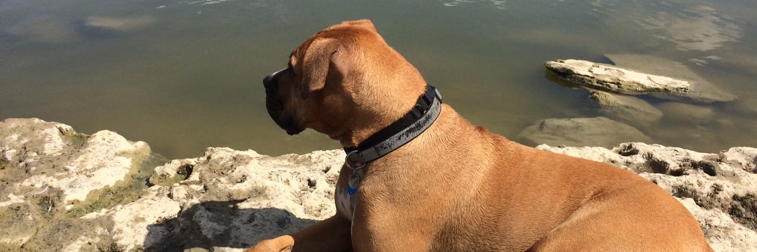 IlerJosh's profile banner image