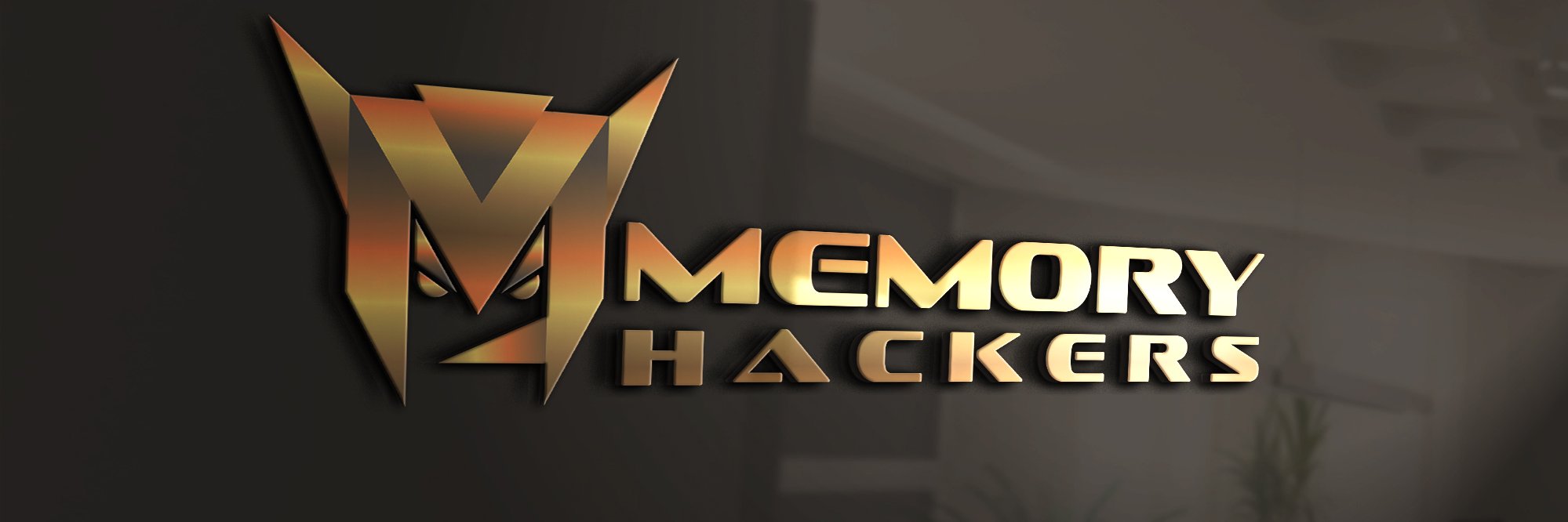 MemoryHackersNT's profile banner image