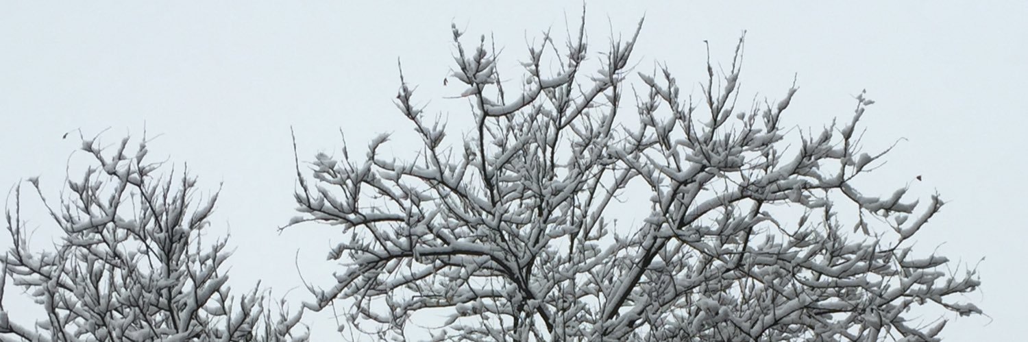 1 0 2 6 banner
