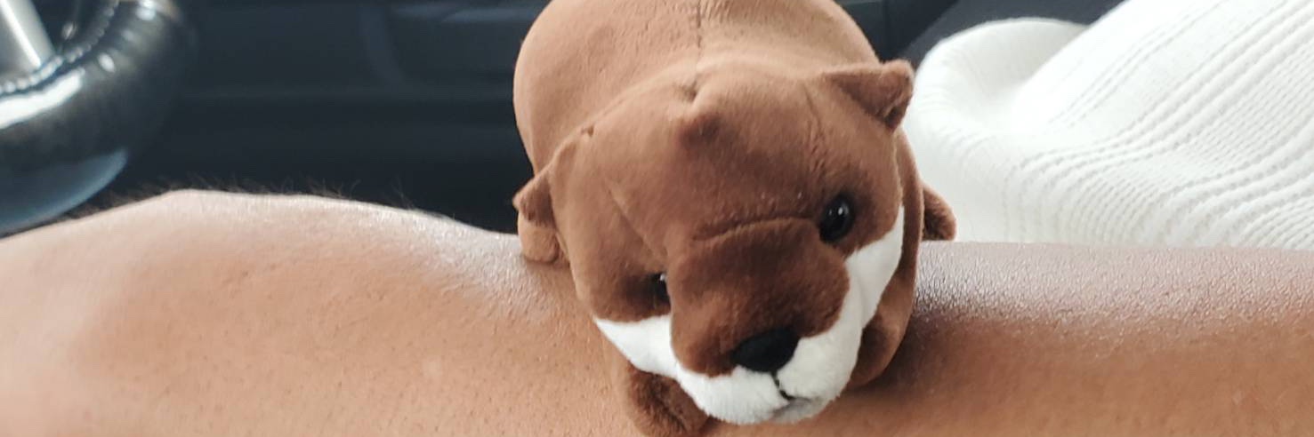 mameruhen24's profile banner image