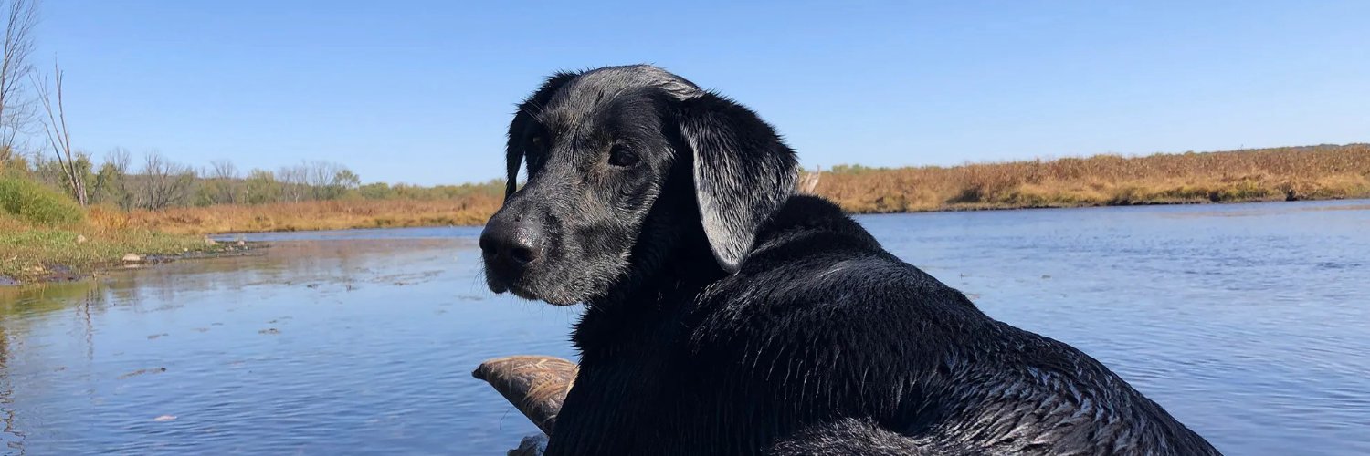 TheNoWokeBro's profile banner image