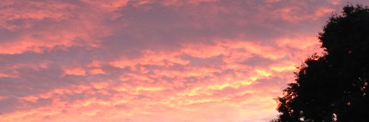 Cissy_Fleet's profile banner image