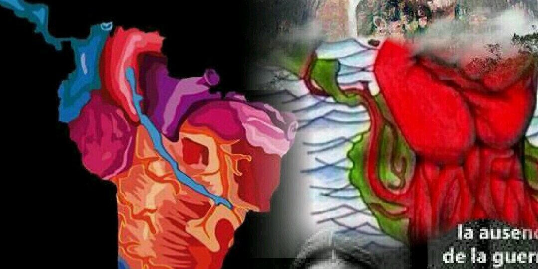 Janaina_gb's profile banner image