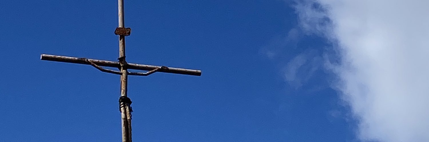 FrauFlissi's profile banner image