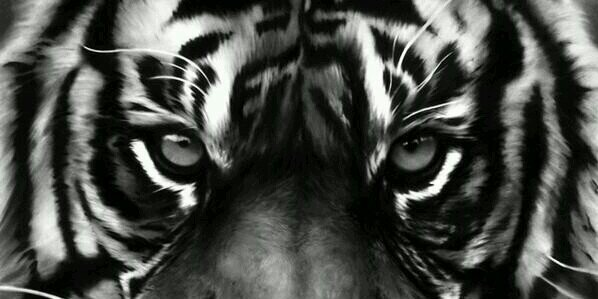 C.Lopez ⚽✌ banner