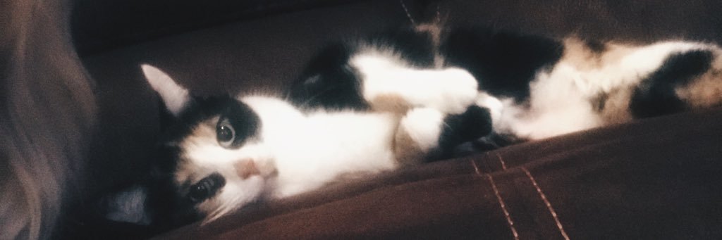 Keret_'s profile banner image