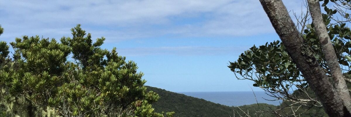 Jabs_ZA's profile banner image