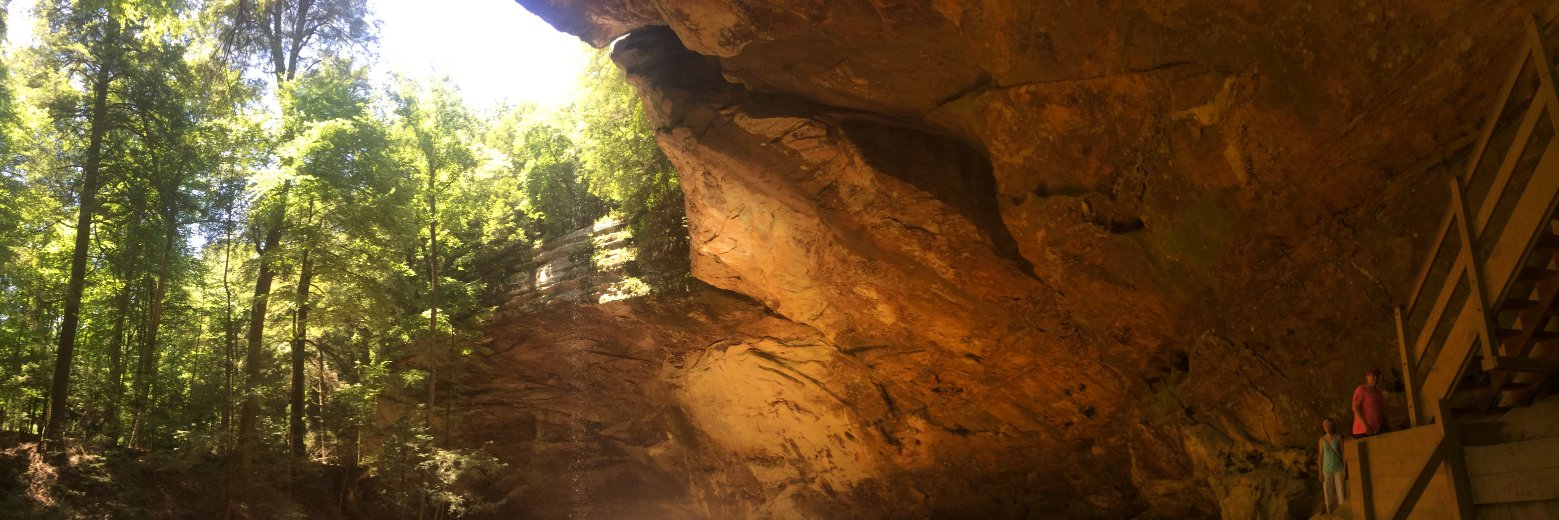 Michael McGinnis banner