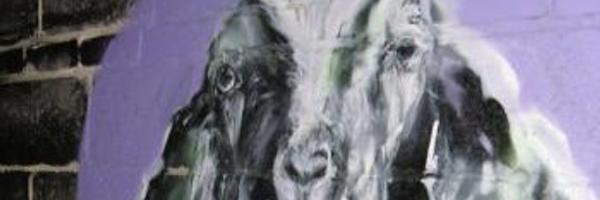 GamblingGoat's profile banner image