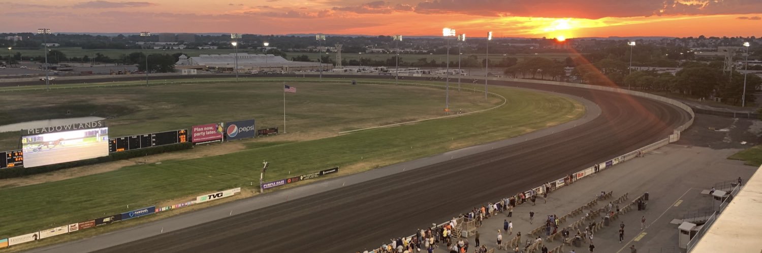 Steve Meizinger banner