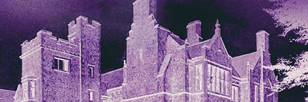 murdergatsby's profile banner image