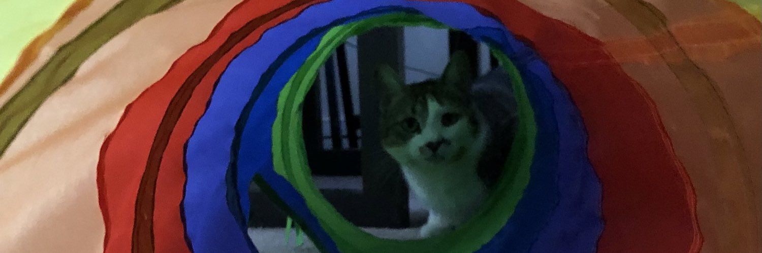 Ain’t Karma a Bitch? banner