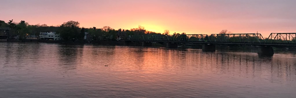 ʝɛռռ ɦօʀռɛ (she/her) banner