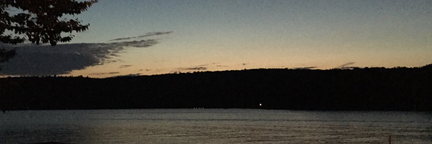 Rowbee'C Kasisky banner