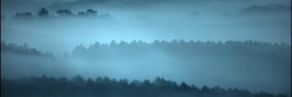 vish71 Profile Banner