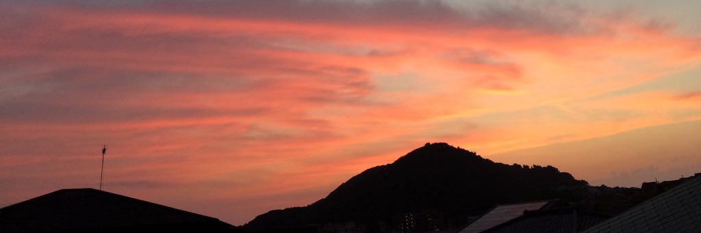 yosuke_surf's profile banner image