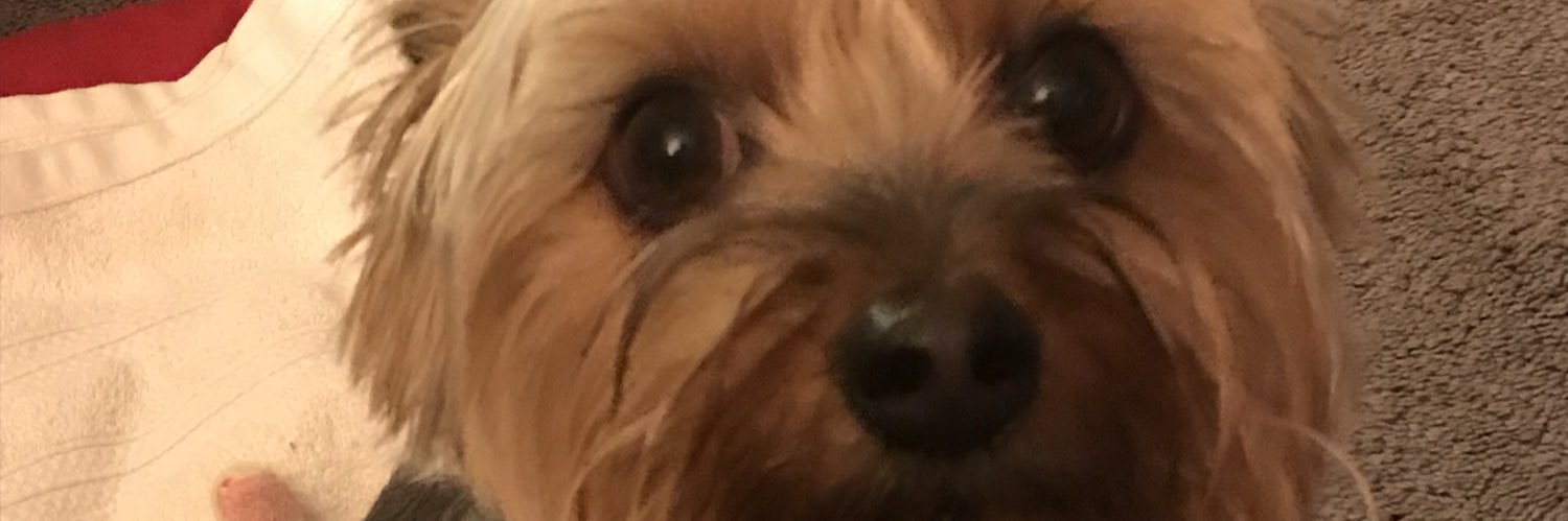 johnnypaz15's profile banner image