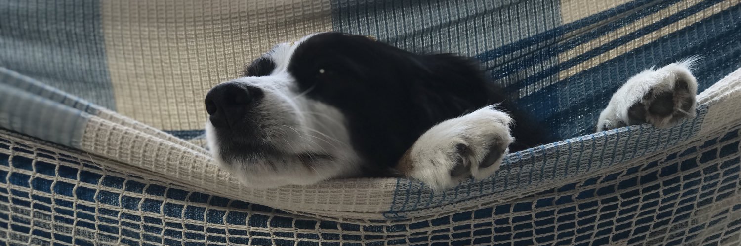 predogodoi's profile banner image