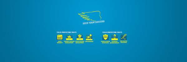 dekalb_osr Profile Banner