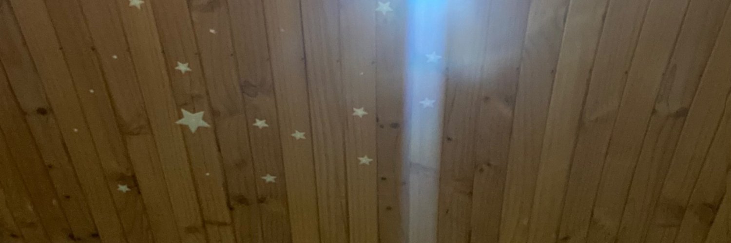 camiceltt's profile banner image