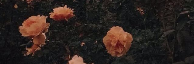 twdhurts's profile banner image