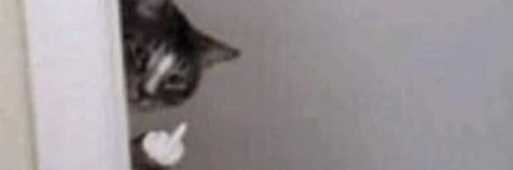 kat_hewitt0's profile banner image